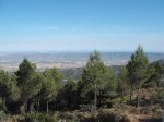 DSCF4078.JPG