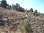 DSCF4101.JPG