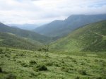 IMG_8818.JPG