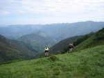 IMG_8821.JPG
