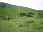 IMG_8831.JPG