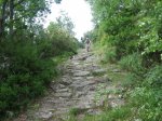IMG_8843.JPG