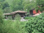 IMG_8883.JPG