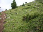 masella 020.jpg