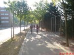 DSC00201.jpg