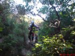 DSC00214.jpg