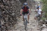_MG_8368.jpg