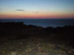 ratpenat -2009 022.jpg