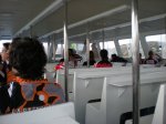 ratpenat -2009 041.jpg