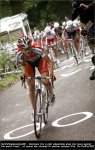 ned09-vos[1].jpg