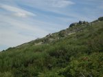 DSCN5352 (Medium).JPG