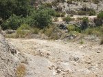 DSCF0917.jpg