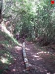 foromtb_image_27jun_06_num.jpg