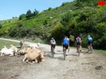 foromtb_image_27jun_11_num.jpg