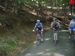 foromtb_image_27jun_15_num.jpg