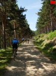 foromtb_image_27jun_17_num.jpg
