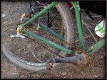 Bici de Alberto.jpg