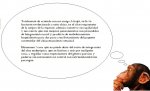 Mono Pensador 2.jpg