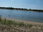 100_0710.jpg