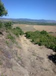 Imagen004.jpg