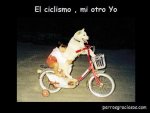 1biciperro-ciclista.jpg