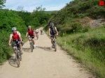 foromtb_image_28jun_02_num.jpg