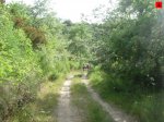 foromtb_image_28jun_04_num.jpg