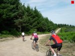 foromtb_image_28jun_08_num.jpg