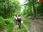 foromtb_image_28jun_11_num.jpg