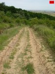 foromtb_image_28jun_12_num.jpg