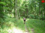 foromtb_image_28jun_14_num.jpg