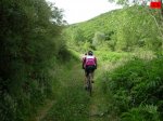 foromtb_image_28jun_15_num.jpg
