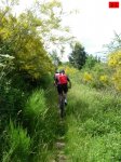 foromtb_image_28jun_21_num.jpg
