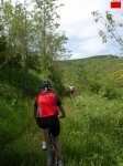foromtb_image_28jun_22_num.jpg