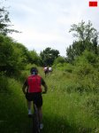 foromtb_image_28jun_23_num.jpg