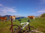 picos 358.jpg