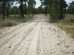 camino de Madrid 2009 027.jpg