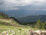 IMG_8625.jpg