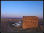 IMG_0885.jpg