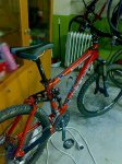 13052008114-reducido.jpg
