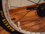 mtb 015.jpg
