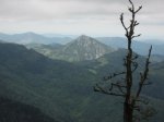 DSCF0858.jpg