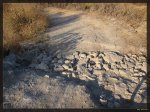 El cauce seco.jpg