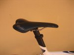 superbike 004.jpg