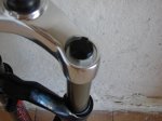 DSC01173.jpg