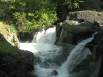 IMG_8738.jpg