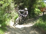 IMG_8761.jpg