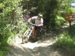IMG_8762.jpg