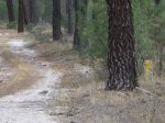 camino de Madrid 2009 032.jpg