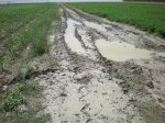 camino de Madrid 2009 036.jpg